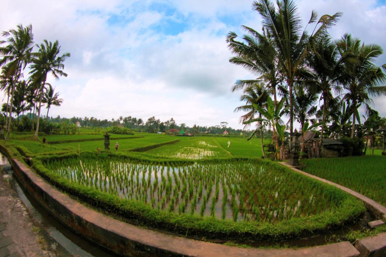 Vinarya Villa Ubud Exterior foto